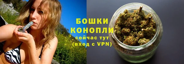 шишки Белоозёрский