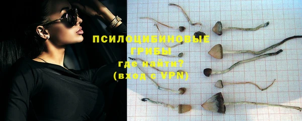 прущая мука Беломорск