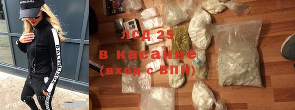 шишки Белоозёрский