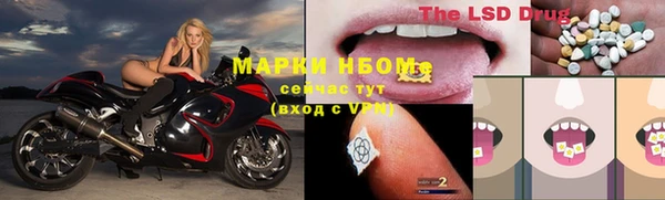 шишки Белоозёрский