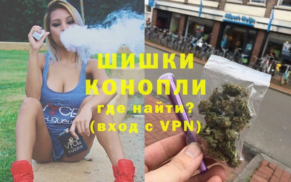 шишки Белоозёрский
