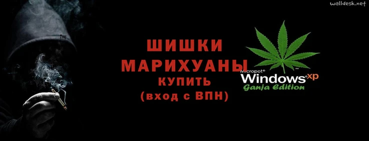 шишки Белоозёрский
