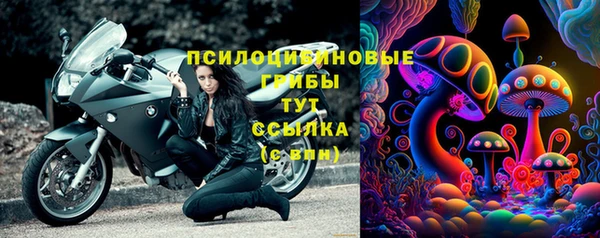 шишки Белоозёрский