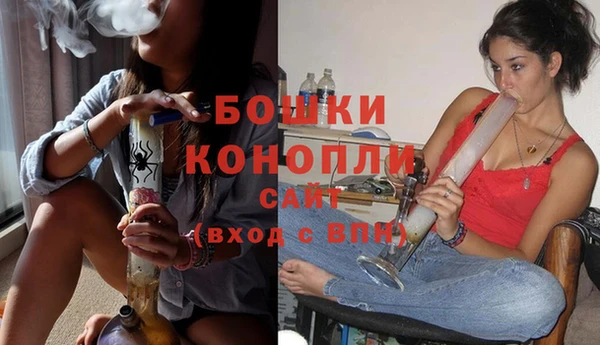 шишки Белоозёрский