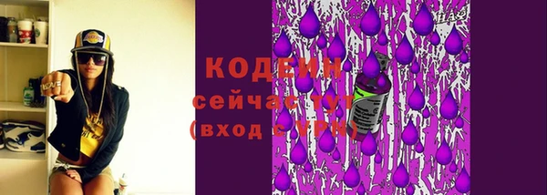 шишки Белоозёрский