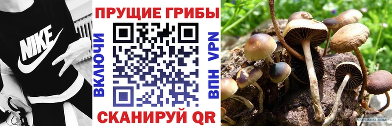 Псилоцибиновые грибы ЛСД  Крымск 
